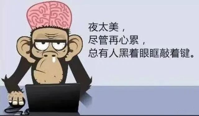 程序員假期怎么過，快來看看你屬于哪一種？